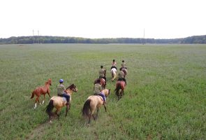 Afda0209 Guia Per Itineraris Equestres En El Medi Natural