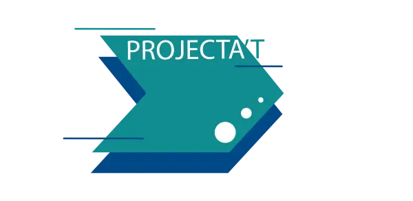 banner-projectat-1 banner projectat 1