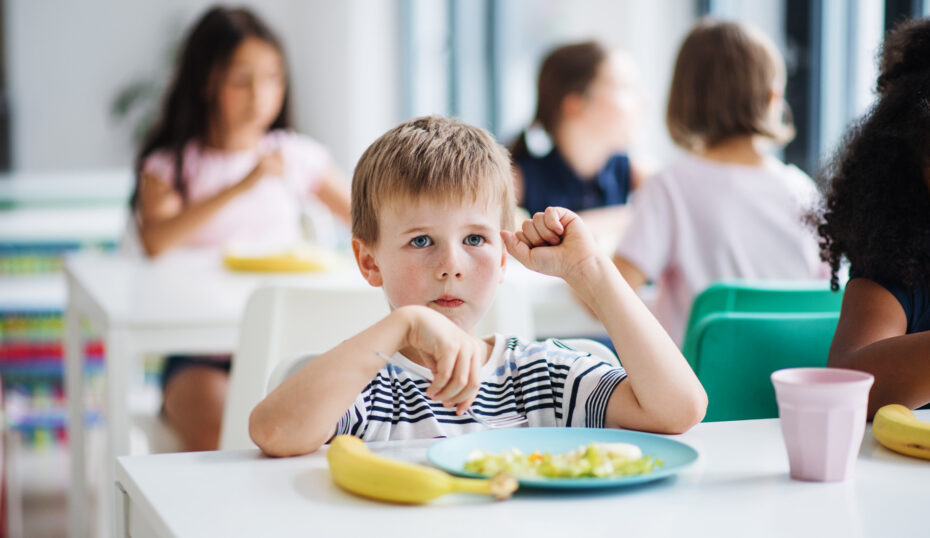 El menjador escolar des d'una perspectiva socioeducativa 1 el menjador escolar des duna perspectiva socioeducativa