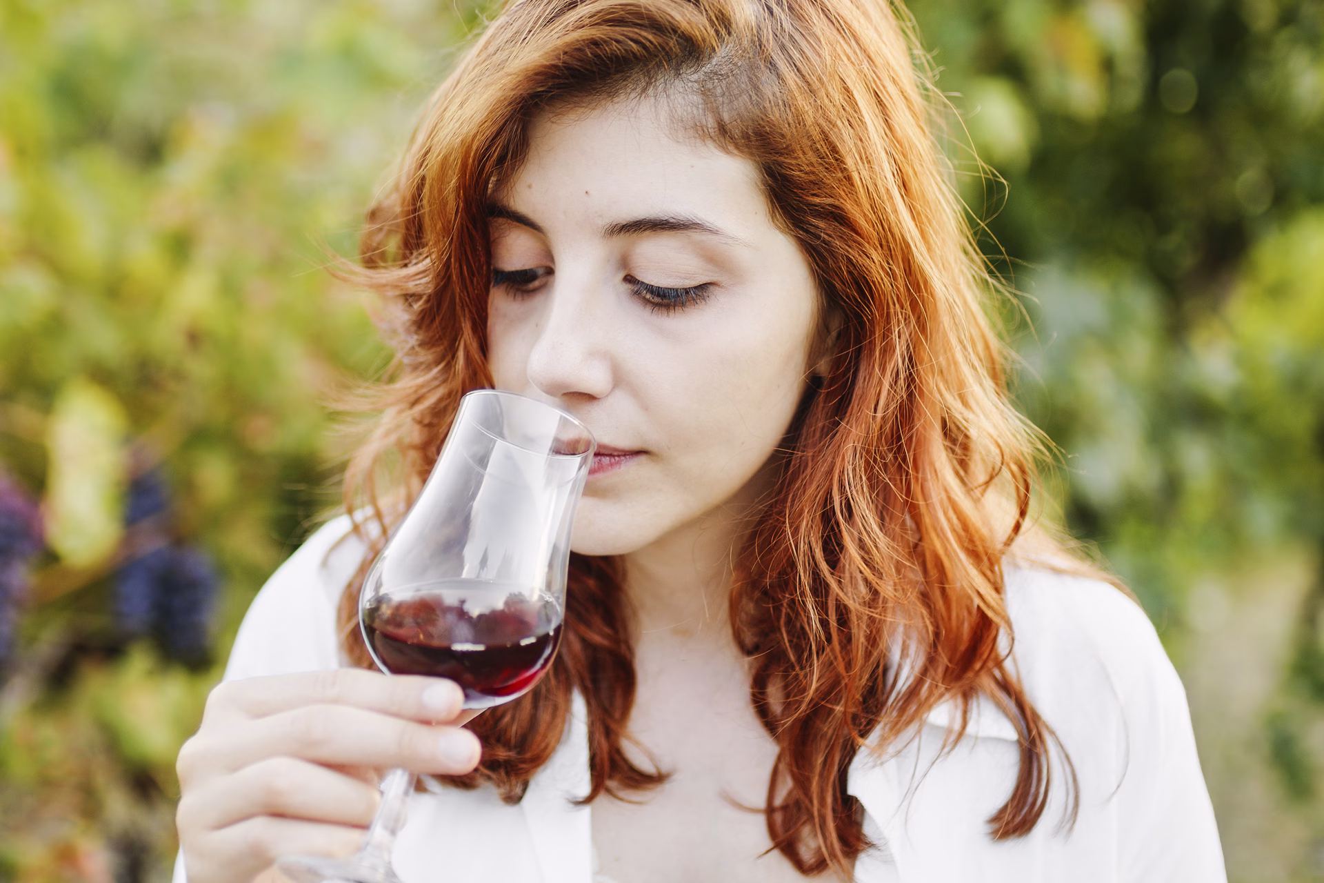 el proces denologia i el tast 1 jpg