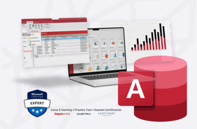 microsoft access expert 2019