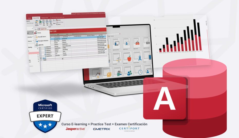 microsoft access expert 2019