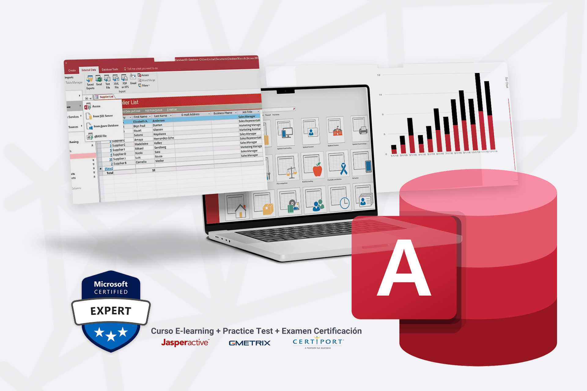 microsoft access expert 2019